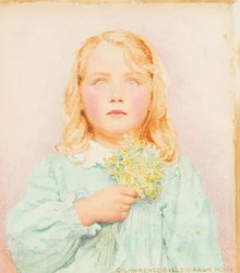 Primeln, 1904